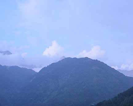 The Eden, Dharamshala- Room-2